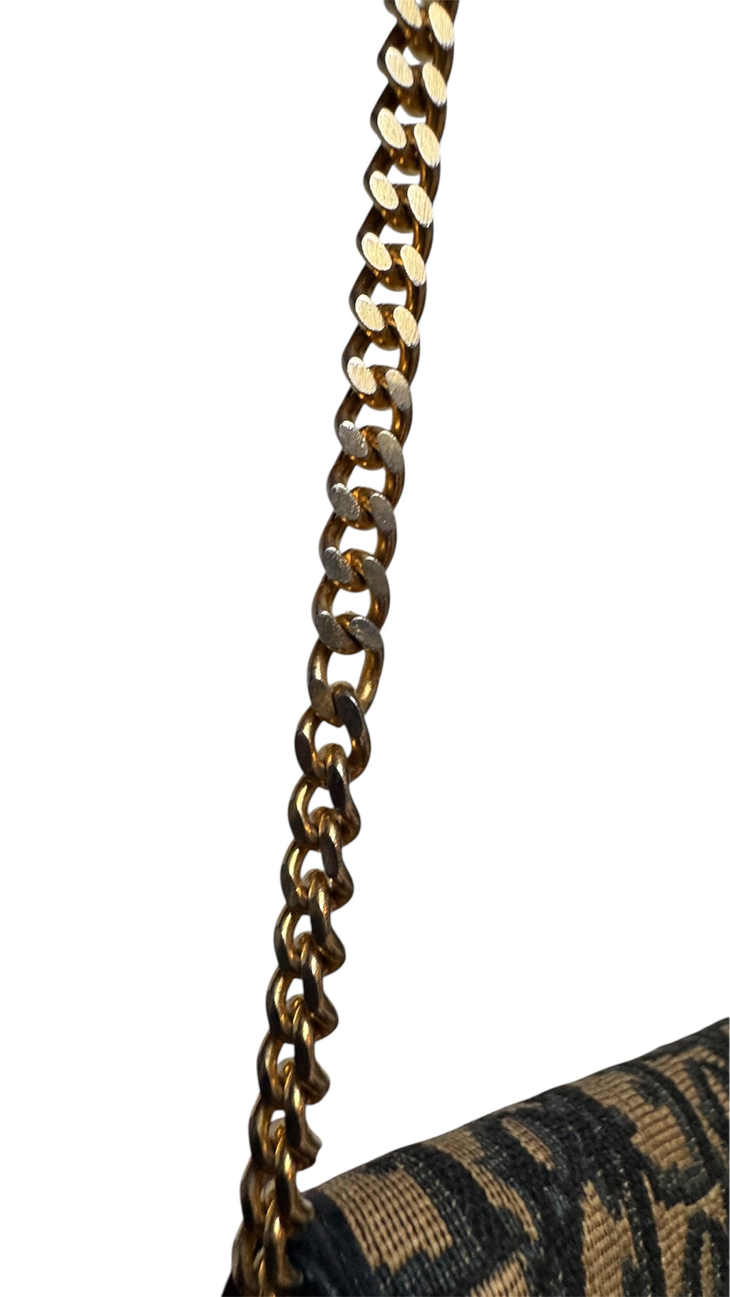 Christian Dior Diorrissimo Chain Canvas - monogram